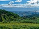 Saint Jeannet, Dame Jeanne - Vignoble Rasse Saint Jeannet, Dame Jeanne - Vignoble Rasse