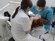 Impianti dentali: meglio quelli in titanio o quelli in ceramica? Impianti dentali: meglio quelli in titanio o quelli in ceramica?