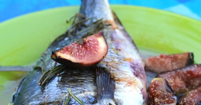 Dorade rôtie aux figues, miel et romarin