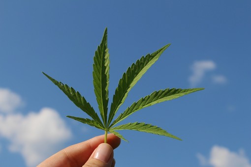 Gli effetti quotidiani positivi dell’assunzione di cannabis