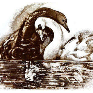 Illustrazioni di Marina Sosnina ©  Orchestre Philharmonique de Monte-Carlo