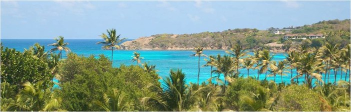 St Vincent e Grenadine: l'eco lusso tanto amato a Montecarlo St Vincent e Grenadine: l'eco lusso tanto amato a Montecarlo