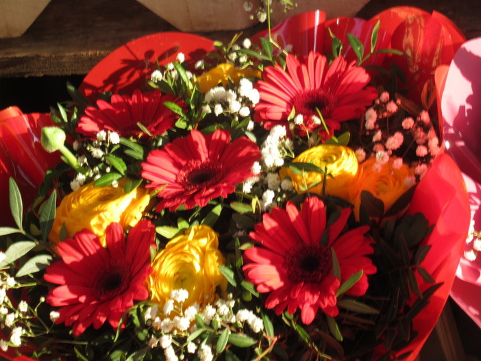 Il proverbio assicura che “ a San Benedetto la rondine è sotto il tetto” Il proverbio assicura che “ a San Benedetto la rondine è sotto il tetto”