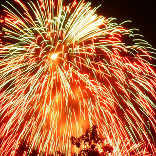 Ecco un esmpio dei fuochi della società spagnola Pirofantasia