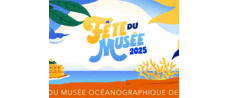 Festa del Museo 2025: un’immersione ludica e educativa nell’universo marino per famiglie e bambini Festa del Museo 2025: un’immersione ludica e educativa nell’universo marino per famiglie e bambini
