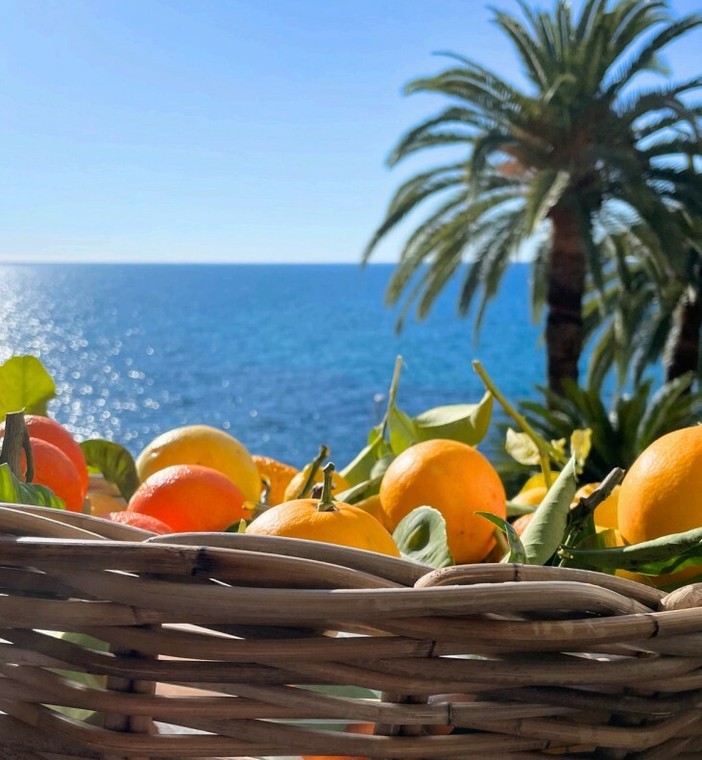 92ª Fête du Citron a Mentone