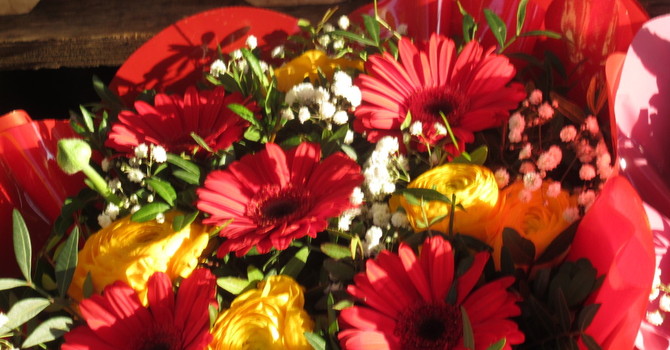 Il proverbio assicura che “ a San Benedetto la rondine è sotto il tetto” Il proverbio assicura che “ a San Benedetto la rondine è sotto il tetto”