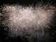Monte-Carlo: l'Italia si prepara al Concorso Nazionale di Fuochi d'Artificio Monte-Carlo: l'Italia si prepara al Concorso Nazionale di Fuochi d'Artificio