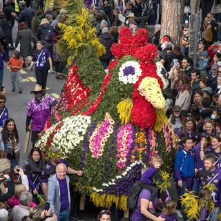 Tourrettes-sur-Loup celebra la regina dei fiori: la Festa delle Violette compie 74 anni