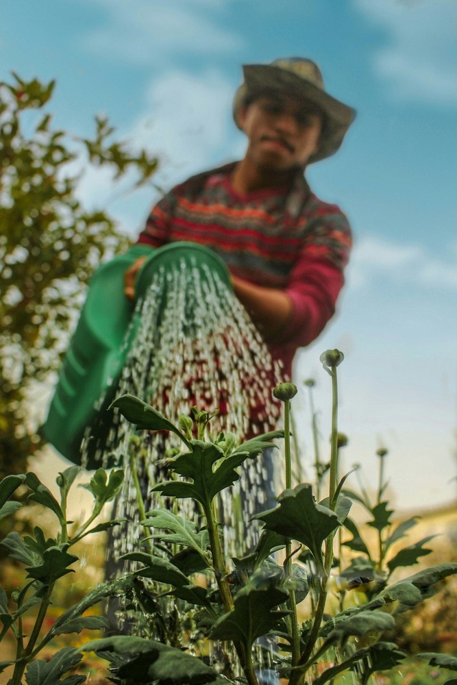 Giardiniere Giardiniere