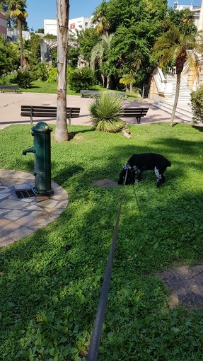 "Il lungo guinzaglio", foto di Patrizia Savarese
