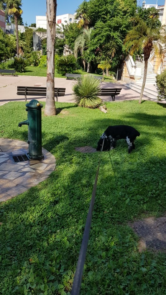 "Il lungo guinzaglio", foto di Patrizia Savarese
