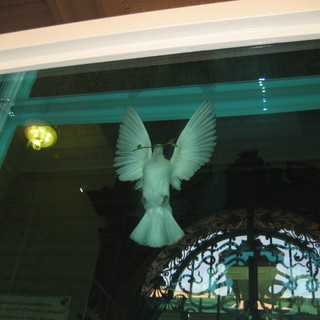 Monte-Carlo: al Museo Oceanografico prosegue "Cornucopia" di Damien Hirst