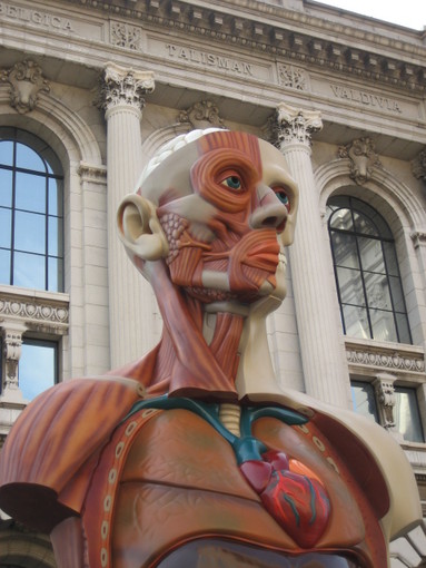 Monte-Carlo: al Museo Oceanografico prosegue "Cornucopia" di Damien Hirst