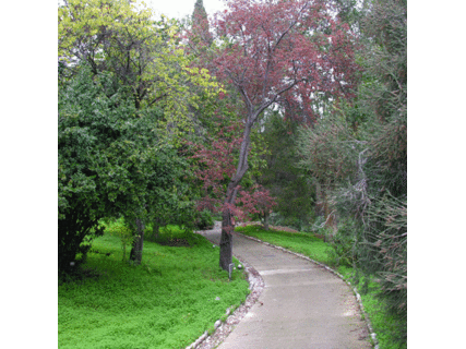 Mentone: i mercoledì del 2010 alla scoperta dei giardini con pic-nic