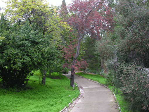 Mentone: i mercoledì del 2010 alla scoperta dei giardini con pic-nic