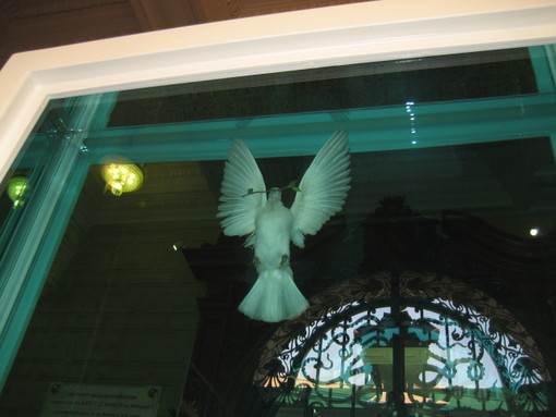 Monte-Carlo: al Museo Oceanografico prosegue "Cornucopia" di Damien Hirst