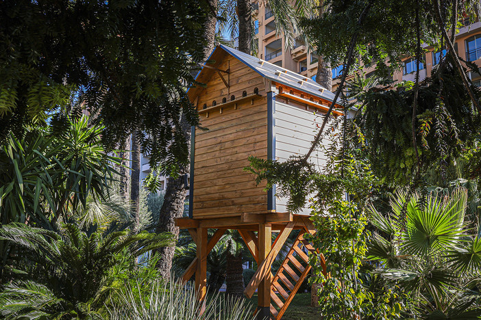 Monaco installa un colombaio di regolazione nei giardini di Fontvieille Monaco installa un colombaio di regolazione nei giardini di Fontvieille