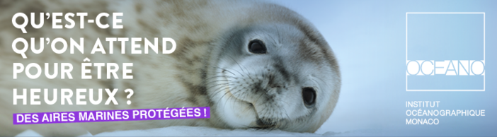 Monaco, la mostra "Missione Polare" è stata un successo: oltre 1,7 milioni di visitatori