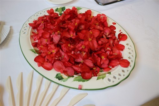 I fiori nel piatto: grande successo a Torino per il menù dei Ristoranti della Tavolozza al Festival del Giornalismo Alimentare (FOTO E VIDEO) I fiori nel piatto: grande successo a Torino per il menù dei Ristoranti della Tavolozza al Festival del Giornalismo Alimentare (FOTO E VIDEO)