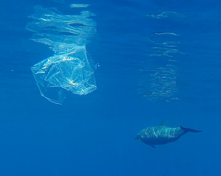 Il Principato di Monaco vieta le borse di plastica ovunque: via alla normativa che punta tutto sullo sviluppo sostenibile anche nel commercio