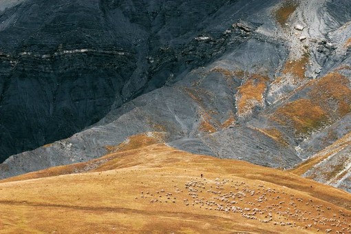 A Nizza la mostra di fotografie di Olivier Lemire, scattate nel Mercantour A Nizza la mostra di fotografie di Olivier Lemire, scattate nel Mercantour