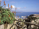 Mostra d'acquerelli &quot;Monaco Contraste&quot; di Fabrice Monaci al Giardino Esotico di Montecarlo