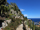 Jardin Exotique de Monaco