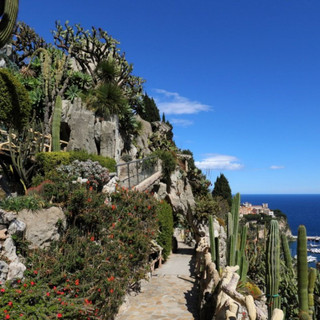 Jardin Exotique de Monaco