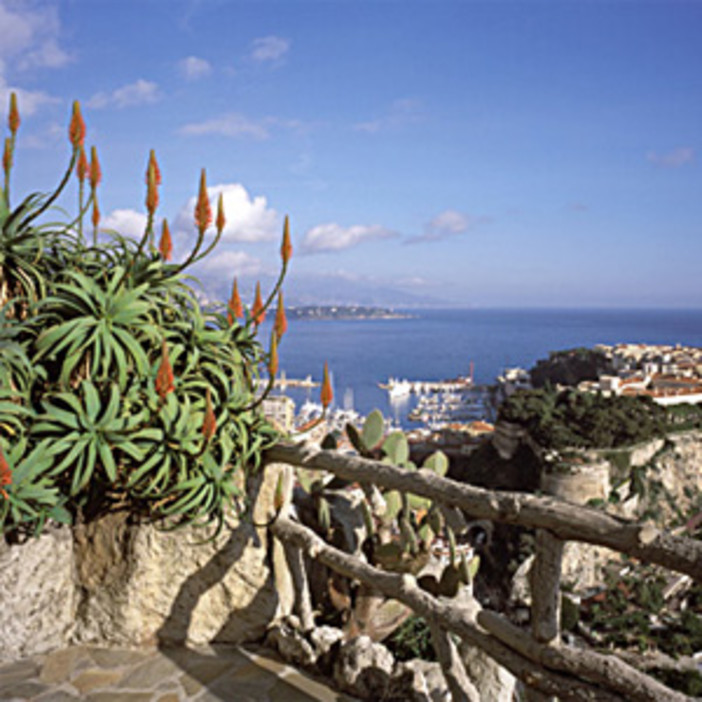 Boris Krunik espone al Jardin Exotique di Monaco