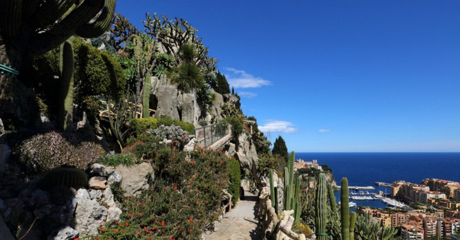 Jardin Exotique de Monaco Jardin Exotique de Monaco