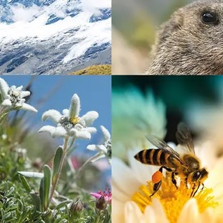 Nizza celebra la Settimana della Natura e la Giornata Internazionale della Biodiversità Nizza celebra la Settimana della Natura e la Giornata Internazionale della Biodiversità