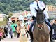 A Nizza torna la “Marcia degli Animali”: una festa sul lungomare tra benessere e incontri sorprendenti