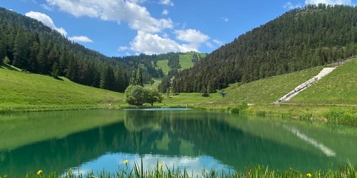 “Le pique-nique des Frenchy” torna alla Colmiane: musica, natura e divertimento sulle rive del lago “Le pique-nique des Frenchy” torna alla Colmiane: musica, natura e divertimento sulle rive del lago