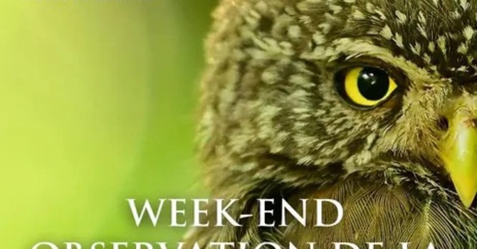 Tende, un weekend alla scoperta degli animali selvatici nel Mercantour