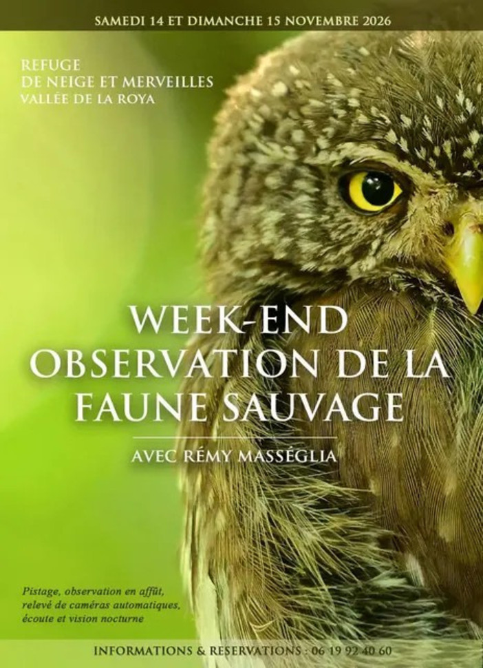 Tende, un weekend alla scoperta degli animali selvatici nel Mercantour Tende, un weekend alla scoperta degli animali selvatici nel Mercantour
