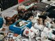 Mentone, “Vide grenier - Felix Felis” al Parking Rondelli: mercatino solidale a sostegno degli animali abbandonati