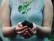Perché piantare alberi oggi significa investire nel futuro del Pianeta Perché piantare alberi oggi significa investire nel futuro del Pianeta