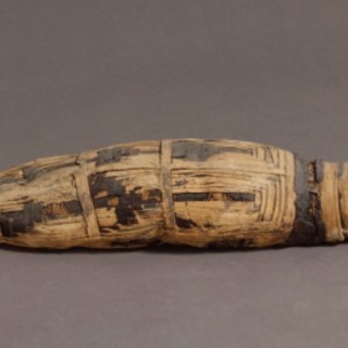 Momies, la mostra nel Var dedicata alle Mummie ed all'Antico Egitto