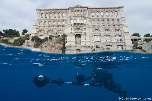 Google fa scoprire le bellezze dei fondali dei mari di Montecarlo Google fa scoprire le bellezze dei fondali dei mari di Montecarlo