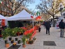 Cagnes sur Mer, mercato italiano