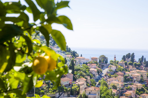 Storia: il Principato di Monaco, Mentone e Roccabruna dal 1849 al 1860 Storia: il Principato di Monaco, Mentone e Roccabruna dal 1849 al 1860