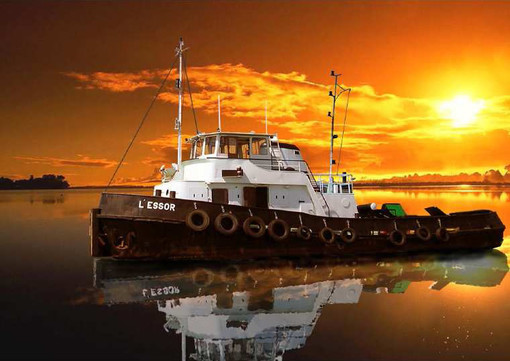 « L’Essor » - copyright COPTECH-SM « L’Essor » - copyright COPTECH-SM