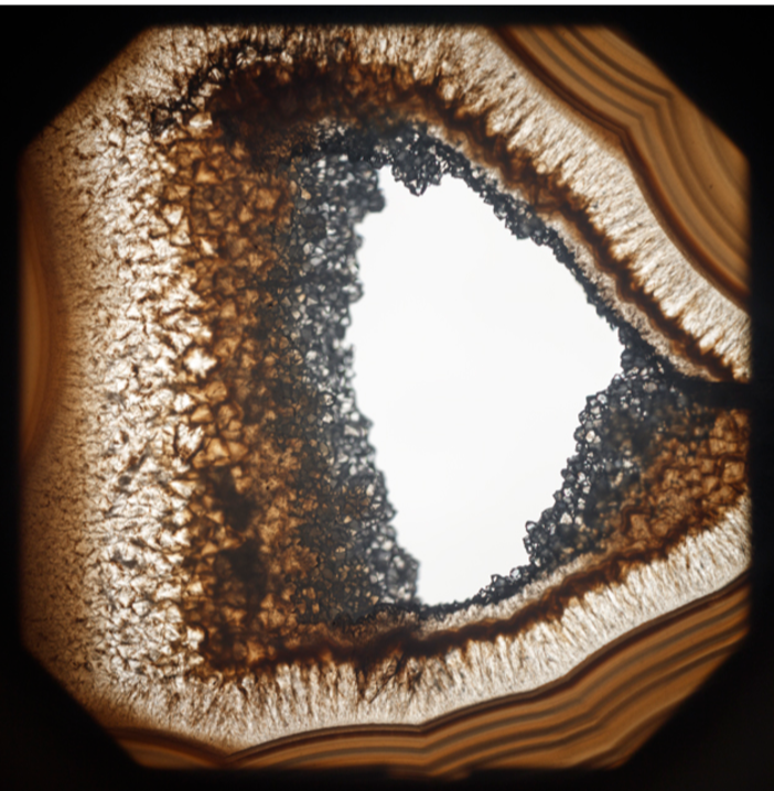 Il Nuovo Museo Nazionale di Monaco presenta la mostra "Paésine" di Francisco Tropa Il Nuovo Museo Nazionale di Monaco presenta la mostra "Paésine" di Francisco Tropa