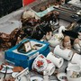Mentone, “Vide grenier - Felix Felis” al Parking Rondelli: mercatino solidale a sostegno degli animali abbandonati