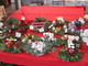 Il mercato dei fiori di Cours Saleya, nel cuore di Nizza vecchia, si prepara al Natale