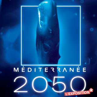 L'Istituto oceanografico di Monaco presenta la mostra "Méditerranée 2050"