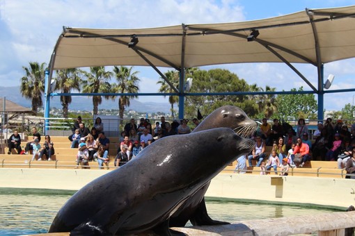 Marineland punta il dito contro le scelte del governo nei confronti delle norme per i parchi e gli zoo