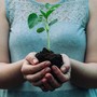 Perché piantare alberi oggi significa investire nel futuro del Pianeta