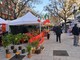 Cagnes sur Mer, mercato italiano Cagnes sur Mer, mercato italiano